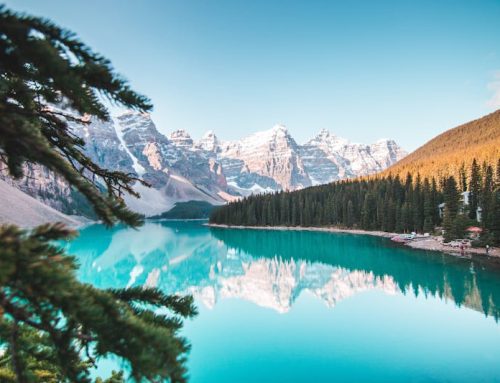 The Role of Photography in Modern Brand Building